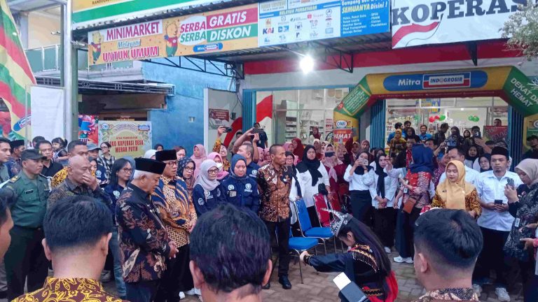 10 Tahun Mengabdi, Pendamping Desa Layak menjadi PPPK untuk KDMP