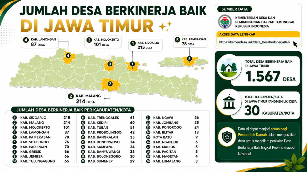 DBB1 (3)